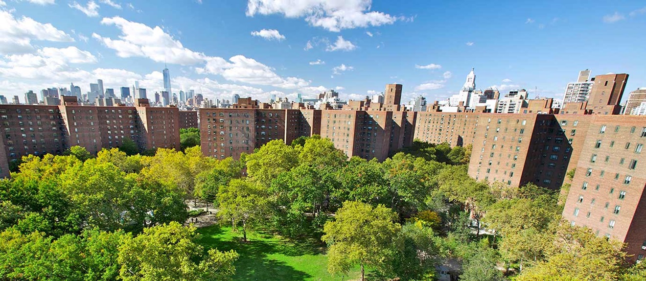 Orange Ginger Mint Iced Tea Recipe