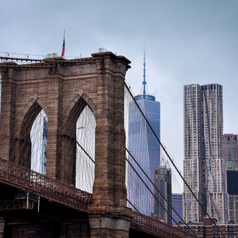 Brooklyn Bridge with Spruce